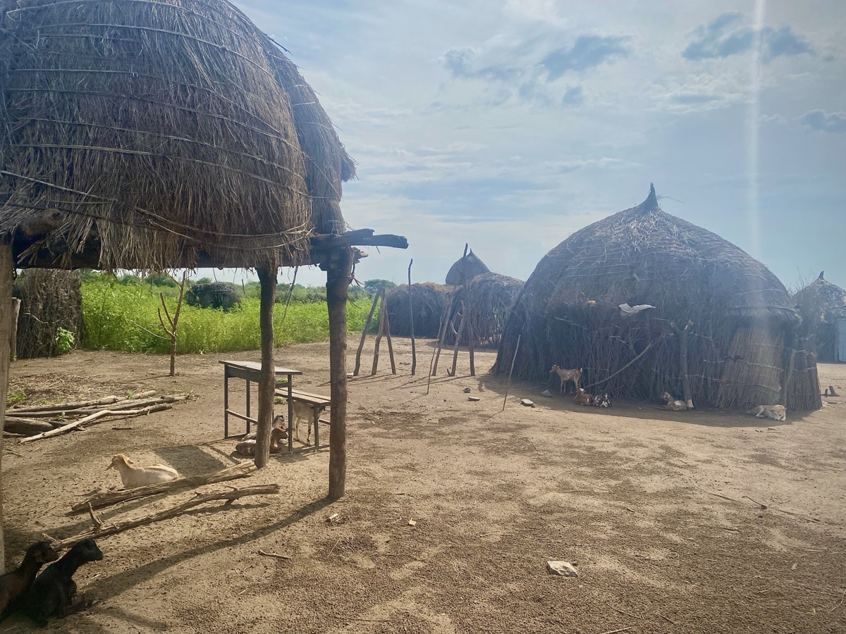 Nyangatom